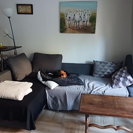 Rez-De-Jardin Grand Studio Lägenhet Cros-de-Cagnes Exteriör bild