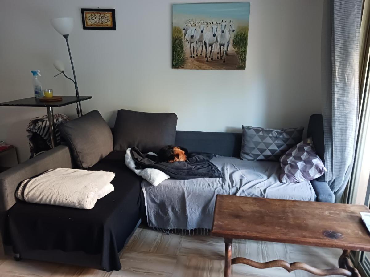 Rez-De-Jardin Grand Studio Lägenhet Cros-de-Cagnes Exteriör bild